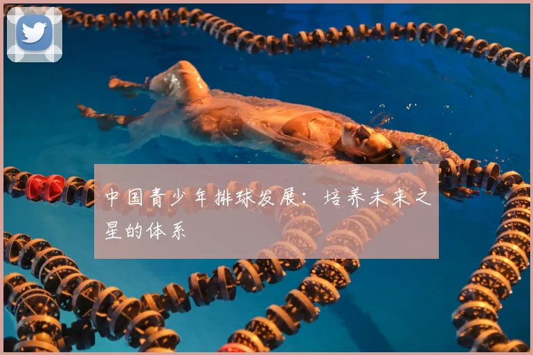 中国青少年排球发展:培养未来之星的体系