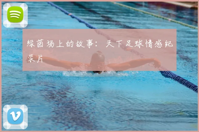 绿茵场上的故事：天下足球情感纪录片